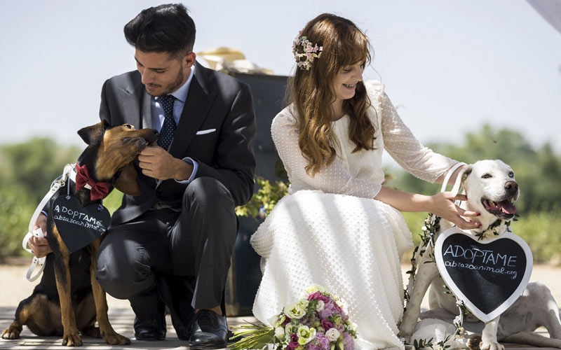 bomboniere solidali cani per matrimonio