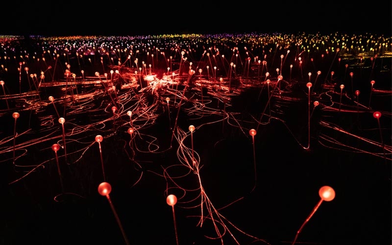 viaggio di nozze in australia Field of Light a Uluru