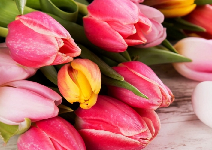 bouquet con tulipani