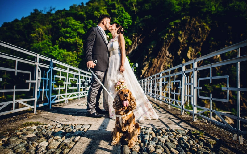 cane al matrimonio con gli sposi nelle foto